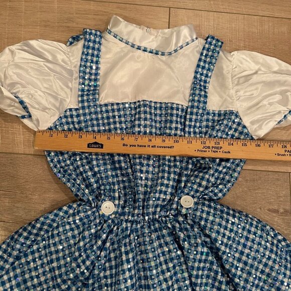 CUSTOM MADE YOUTH GIRL WIZARD OF OZ DOROTHY DANCE COSTUME COMPETITION SIZE 8 - Picture 5 of 9
